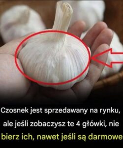czonsek