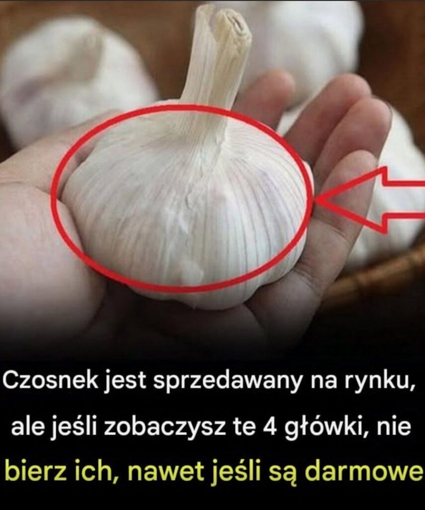 czonsek