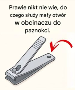 obcinaczka