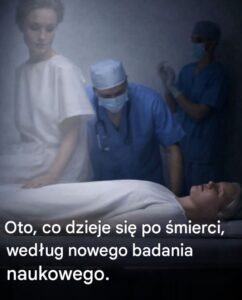 oto co po
