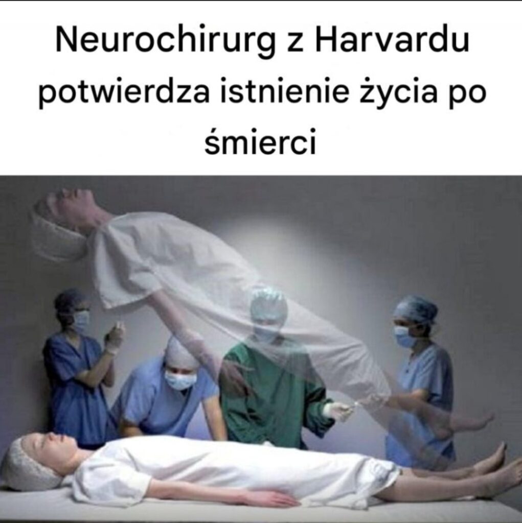 pielegniarka