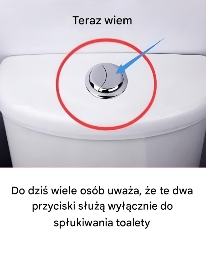 toaleta