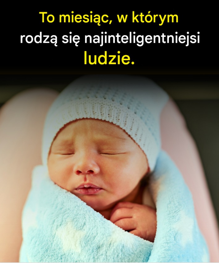 najinteligentjenisi