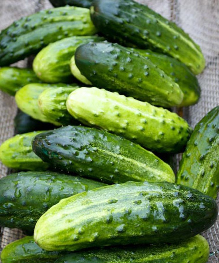 ogorki