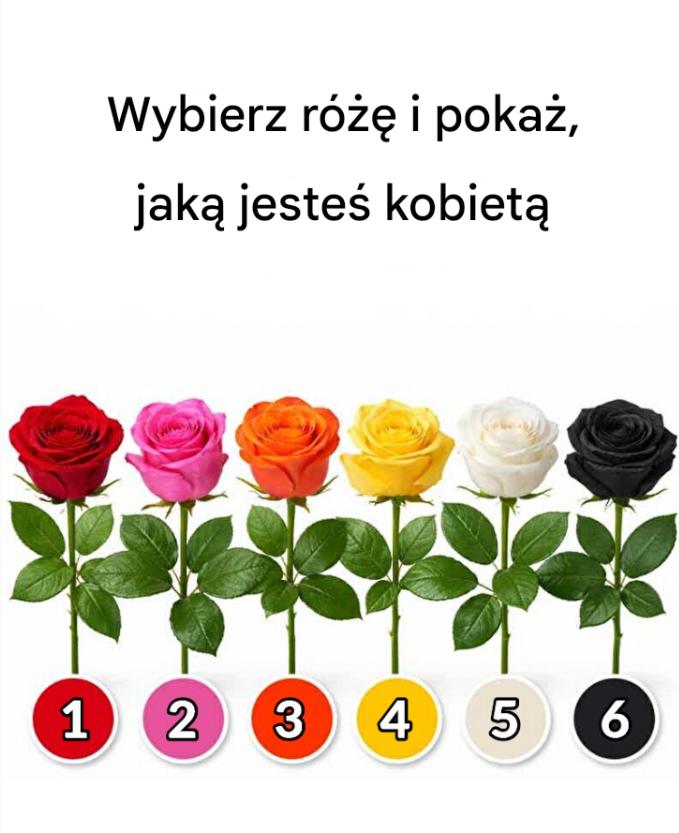 różę