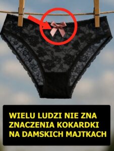 kokardka