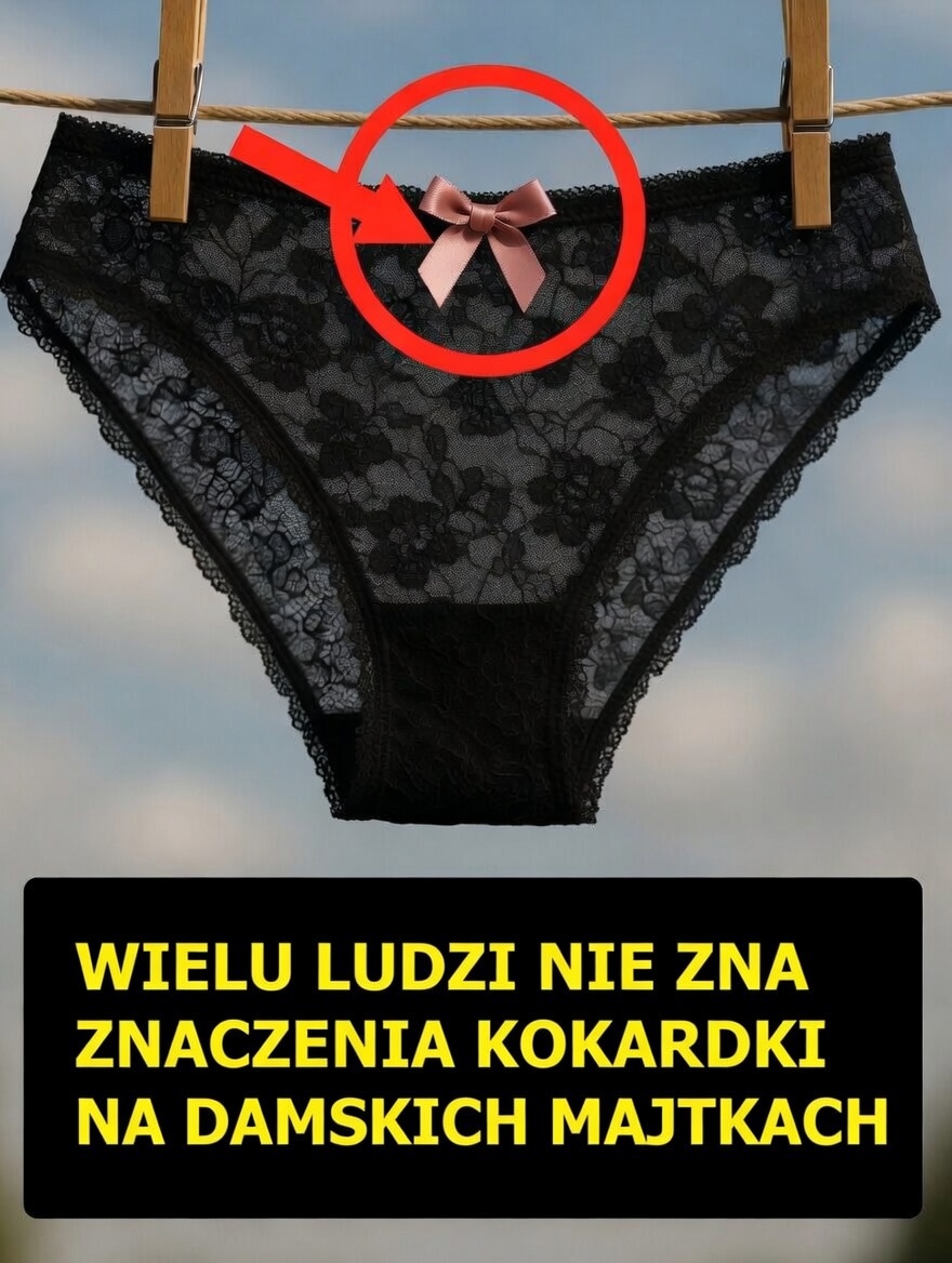 kokardka