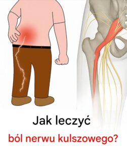 kulszowy