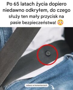pasy