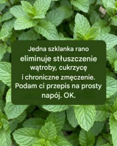 szklanka