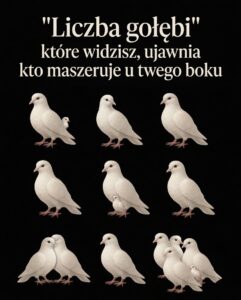 golebie