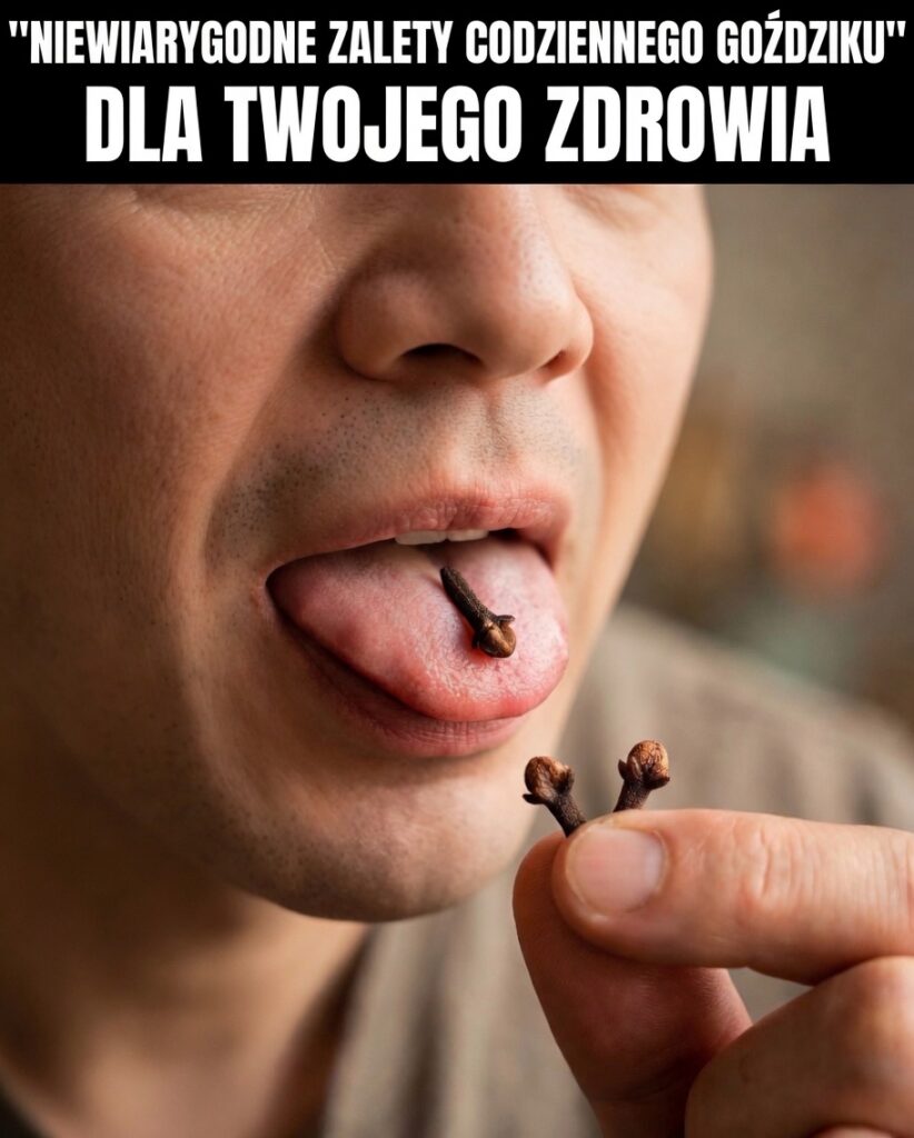 gozdzik