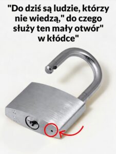 klodka