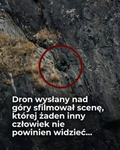 dron