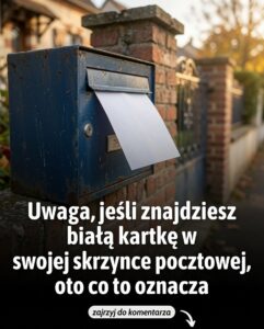 kartka