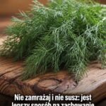 Bez mrożenia i suszenia: istnieje lepszy sposób na zachowanie świeżego smaku koperku przez miesiące