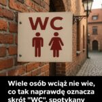 Zaskakująca, ukryta historia znaku WC, który widzimy wszędzie