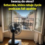 Podczas fali upałów, umiejscowienie wentylatora może mieć ogromne znaczenie – jak zrobić to poprawnie?