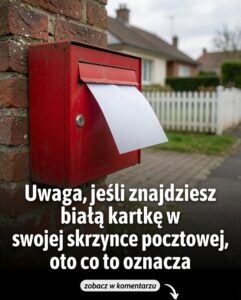 kartka