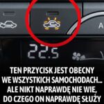 95% kierowców nie wie, jak prawidłowo korzystać z tego przycisku.