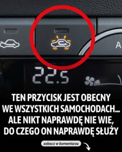 przycisk