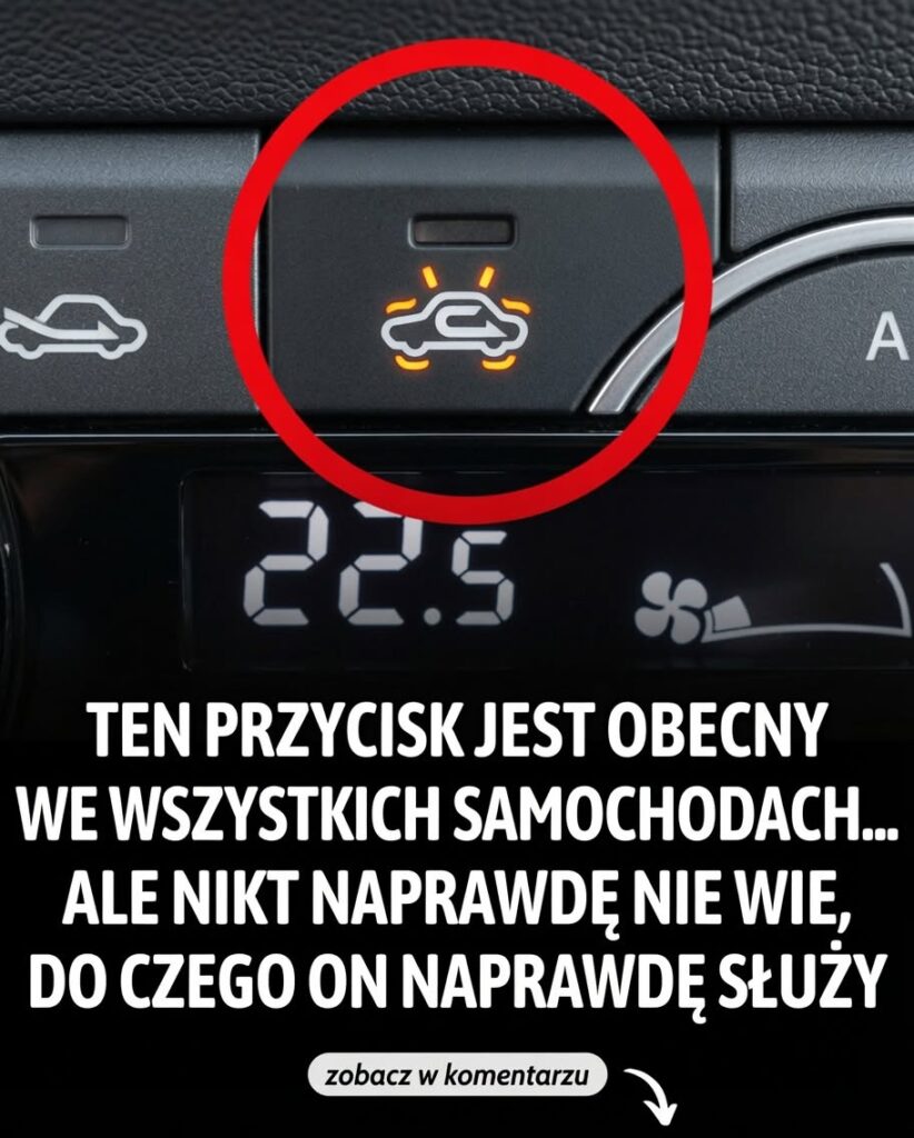 przycisk