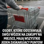 Ludzie, którzy odkładają swoje wózki sklepowe na swoje miejsce, mają jedną wspólną cechę